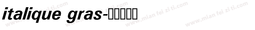 italique gras字体转换